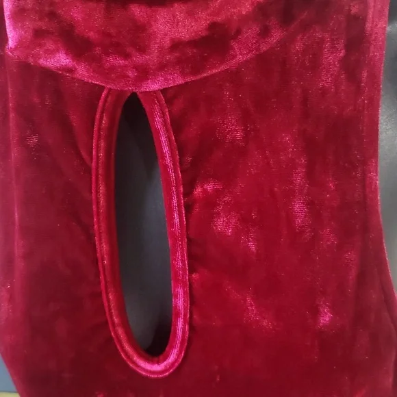 Viereck Wine Crushed Velvet Dress. Size Large. - Picture 7 of 8